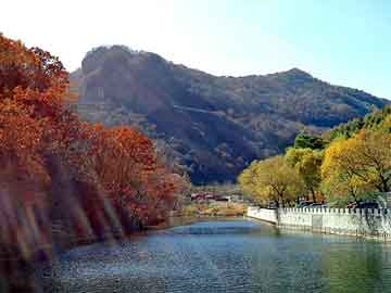 管家婆黑白马报图库，两横一竖